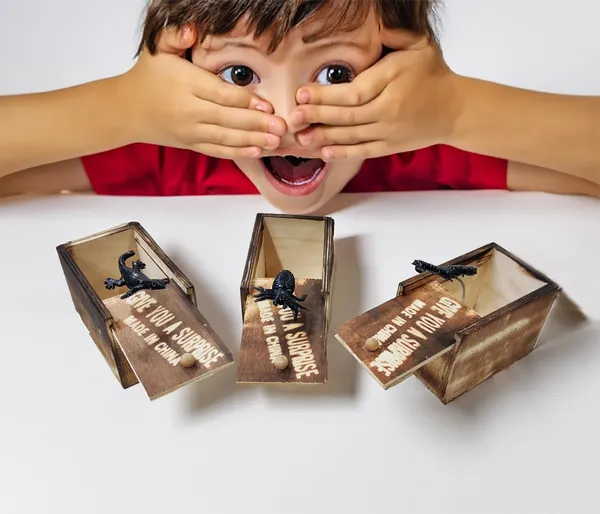 Wooden_Surprise_Prank_Toy_Wooden_Box_Any_Horrible_Insect_Comes_Out_Lizard,_Bichu,_Makdi,Centipiede1_Box