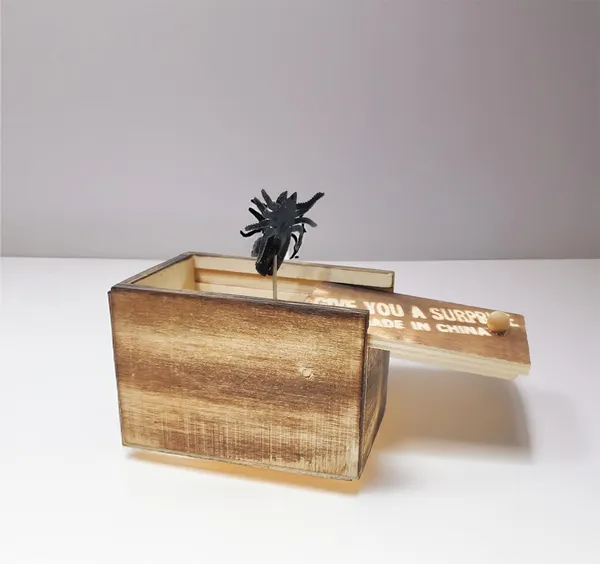Wooden_Surprise_Prank_Toy_Wooden_Box_Any_Horrible_Insect_Comes_Out_Lizard,_Bichu,_Makdi,Centipiede1_Box