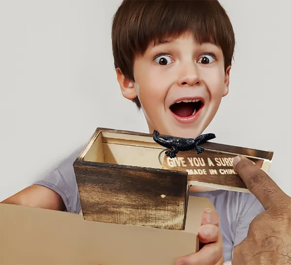 Wooden_Surprise_Prank_Toy_Wooden_Box_Any_Horrible_Insect_Comes_Out_Lizard,_Bichu,_Makdi,Centipiede1_Box
