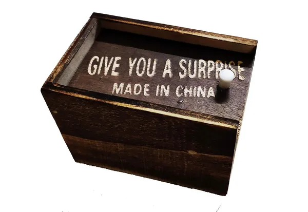 Wooden_Surprise_Prank_Toy_Wooden_Box_Any_Horrible_Insect_Comes_Out_Lizard,_Bichu,_Makdi,Centipiede1_Box