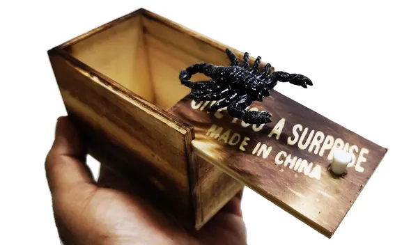 Wooden_Surprise_Prank_Toy_Wooden_Box_Any_Horrible_Insect_Comes_Out_Lizard,_Bichu,_Makdi,Centipiede1_Box