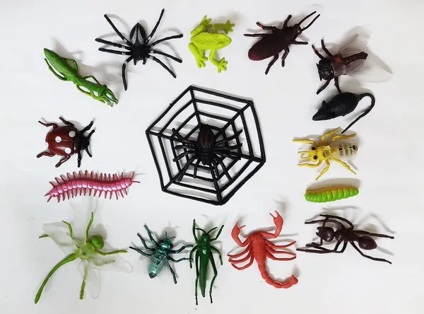 Multicolor_Jungle_Mini_Insects_Toys_Figure_Playing_Set_For_Kids_Make_Your_Project_Learning_(Pack_Of_16_Figures)