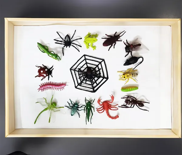 Multicolor_Jungle_Mini_Insects_Toys_Figure_Playing_Set_For_Kids_Make_Your_Project_Learning_(Pack_Of_16_Figures)