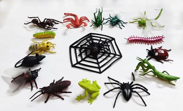 Multicolor_Jungle_Mini_Insects_Toys_Figure_Playing_Set_For_Kids_Make_Your_Project_Learning_(Pack_Of_16_Figures)