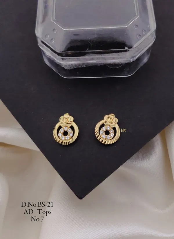 Havy_Gold_Polish_Earring/_Top?s
