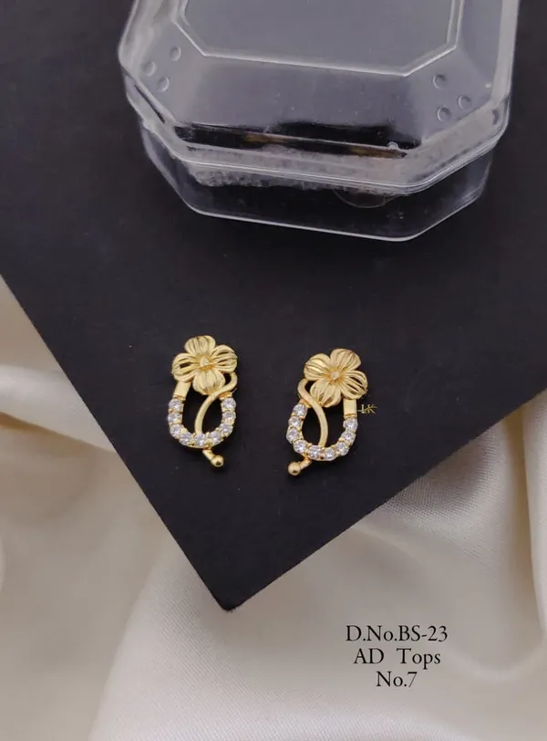 Havy_Gold_Polish_Earring/_Top?s