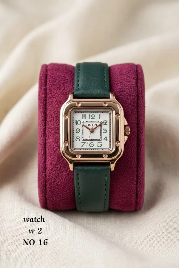 Premium_Branded_Watch