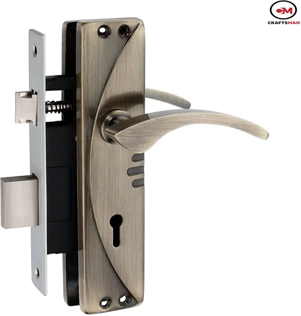 Steel_Iron_Matte_Glossy_Door_Levers_Multicolor