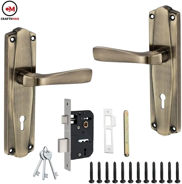 Steel_Iron_Matte_Glossy_Door_Levers_Multicolor