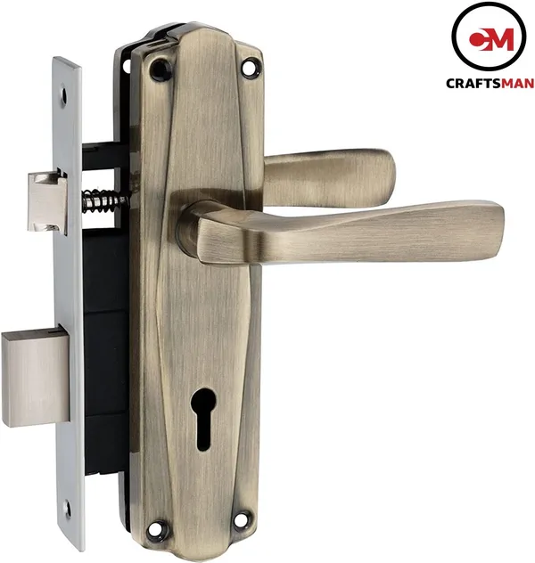 Steel_Iron_Matte_Glossy_Door_Levers_Multicolor