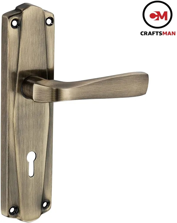 Steel_Iron_Matte_Glossy_Door_Levers_Multicolor