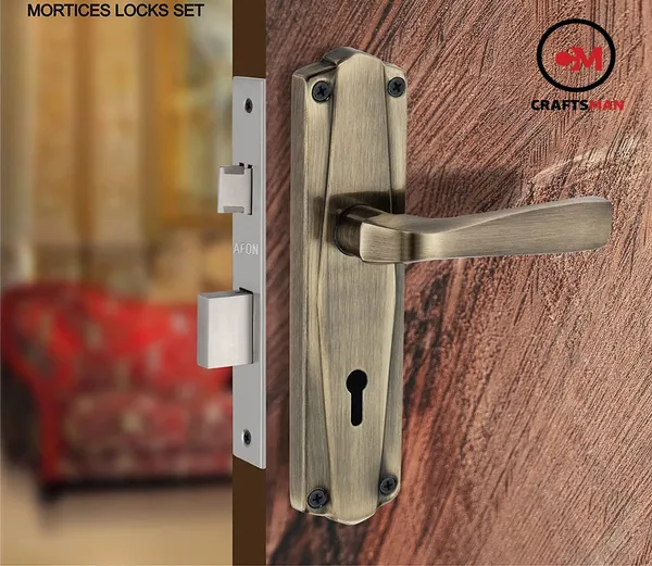 Steel_Iron_Matte_Glossy_Door_Levers_Multicolor