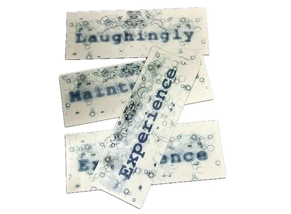 100th_Monkey_Mentalism_Magic_Trick_/_Mentalist_100th_Monkey_Card