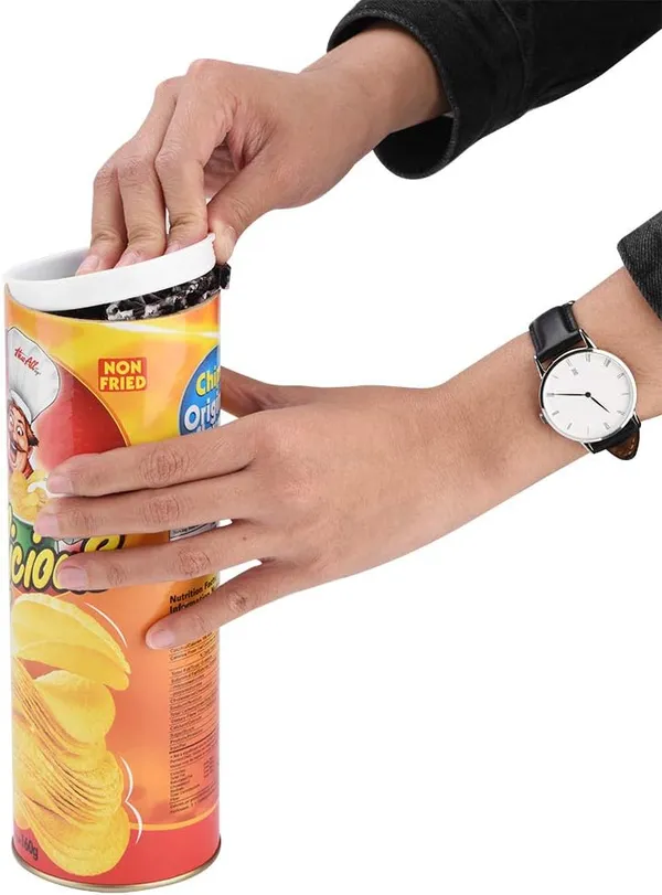 CHIPS_TO_SNAKE_SURPRISE_GIFT_/_CHIPS_GAG_TOY_/_DELICIOUS_PRANK_CHIPS
