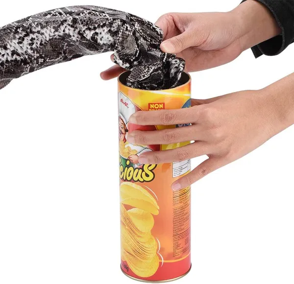 CHIPS_TO_SNAKE_SURPRISE_GIFT_/_CHIPS_GAG_TOY_/_DELICIOUS_PRANK_CHIPS