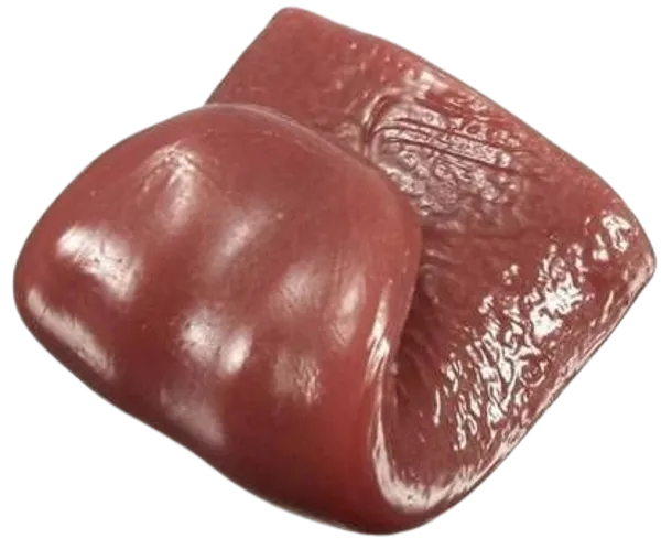 COMBO_SET_PACK_OF_FAKE_TONGUE/_FAKE_KNIFE_GAG_TOYS