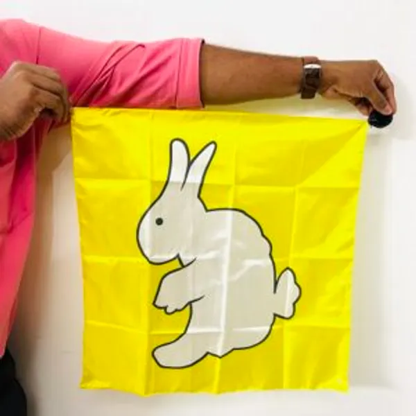 DUCK_TO_RABBIT_SILK_MAGIC_TRICK_/_RABBIT_TO_DUCK_SILK_MAGIC