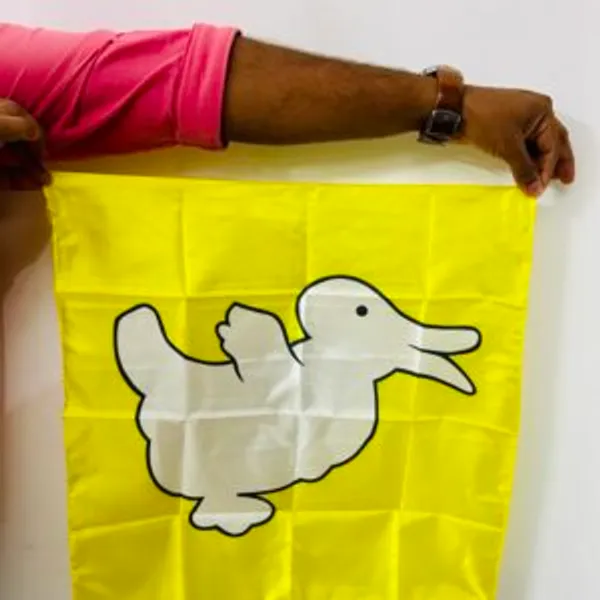 DUCK_TO_RABBIT_SILK_MAGIC_TRICK_/_RABBIT_TO_DUCK_SILK_MAGIC