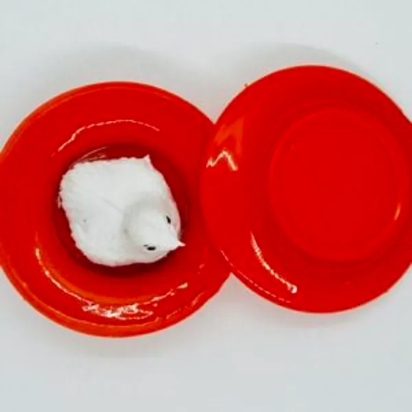 EGG_TO_HEN_MAGIC_PLATES_TRICK_(RED)_/_EGG_SURPRISE_MAGIC_TRICK_/_EGG_HATCHARY_MAGIC
