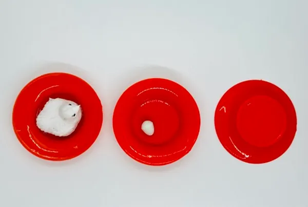 EGG_TO_HEN_MAGIC_PLATES_TRICK_(RED)_/_EGG_SURPRISE_MAGIC_TRICK_/_EGG_HATCHARY_MAGIC