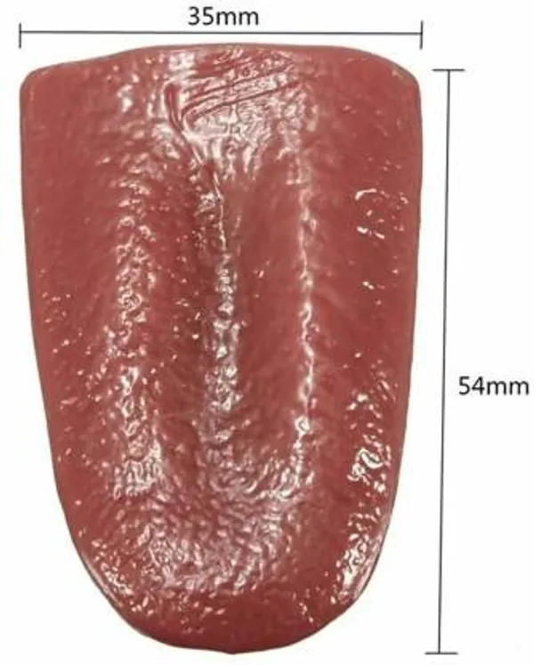 Fake_Tongue_Magic_(Non-Toxic_Elastic_Realistic_Scary_Tongue)