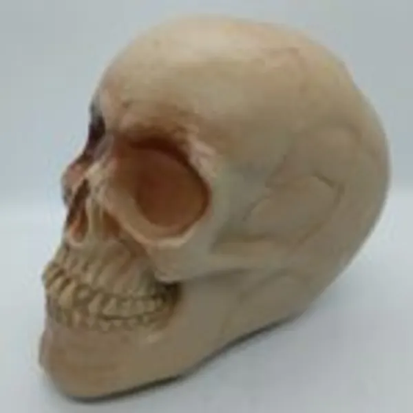 HORROR_SKULL_GAG_TOY_/_GHOST_SKULL_PRANK_PROP
