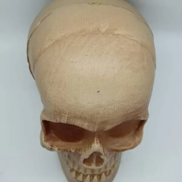 HORROR_SKULL_GAG_TOY_/_GHOST_SKULL_PRANK_PROP