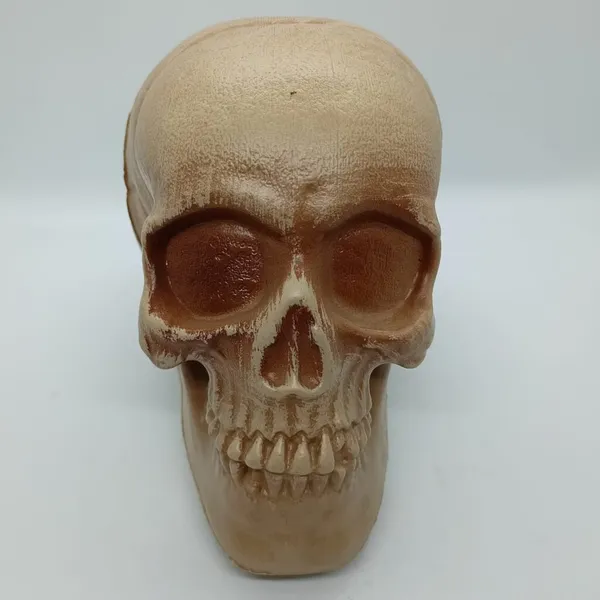 HORROR_SKULL_GAG_TOY_/_GHOST_SKULL_PRANK_PROP