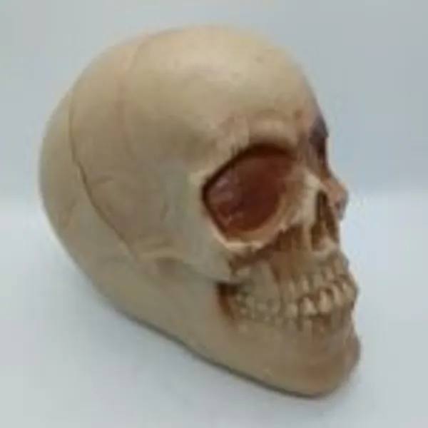 HORROR_SKULL_GAG_TOY_/_GHOST_SKULL_PRANK_PROP
