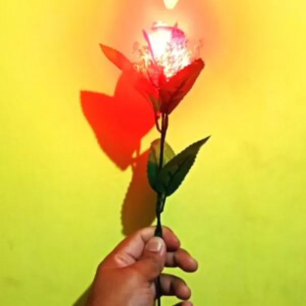 LIGHTING_ROSE_&_LIGHTING_THUMB_MAGIC_TRICK_SET