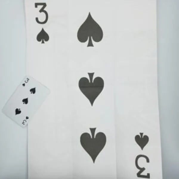 MAGICIAN’S_INSURANCE_POLICY_MENTAL_MAGIC_TRICK_(CARD_PACKET_INCLUDED)