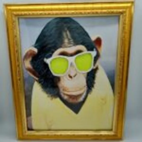 MONKEY_PHOTO_FRAME_MAGIC_/_COLOR_CHANGING_SUNGLASS_MAGIC_FRAME
