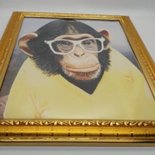 MONKEY_PHOTO_FRAME_MAGIC_/_COLOR_CHANGING_SUNGLASS_MAGIC_FRAME