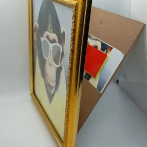 MONKEY_PHOTO_FRAME_MAGIC_/_COLOR_CHANGING_SUNGLASS_MAGIC_FRAME
