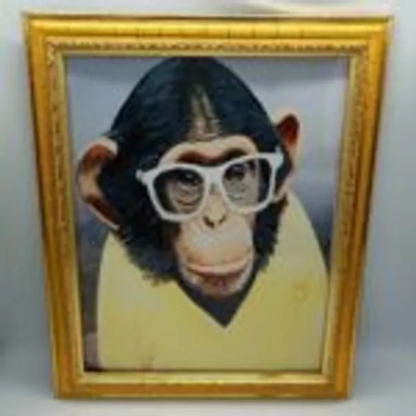 MONKEY_PHOTO_FRAME_MAGIC_/_COLOR_CHANGING_SUNGLASS_MAGIC_FRAME
