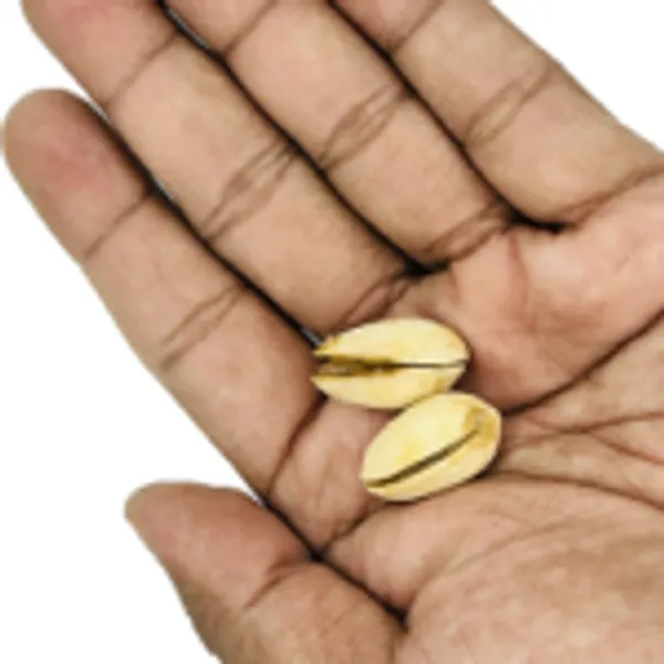 PISTACHIO_PENETRATION_MAGIC_TRICK
