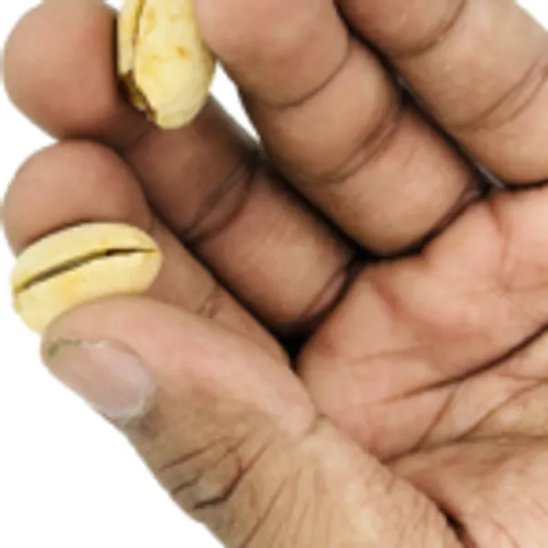 PISTACHIO_PENETRATION_MAGIC_TRICK