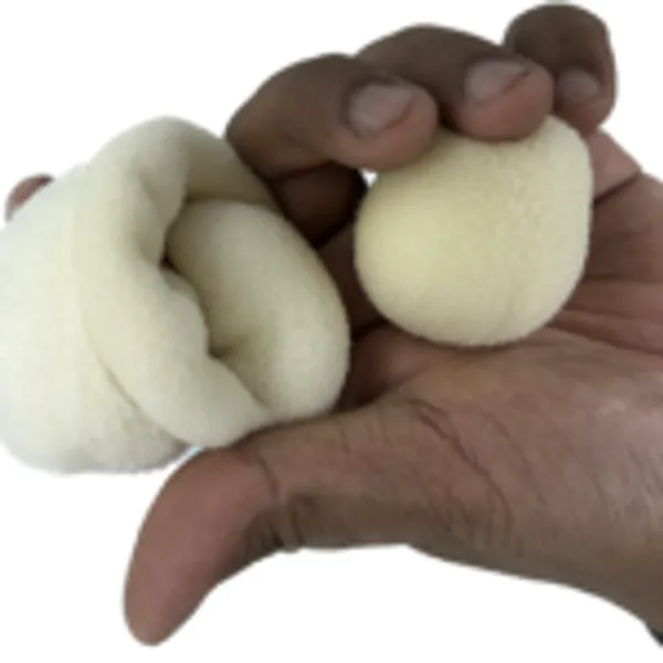 SPONGE_DOVE_MAGIC_TRICK_/_SPONGE_BALLS_TO_DOVE_MAGIC