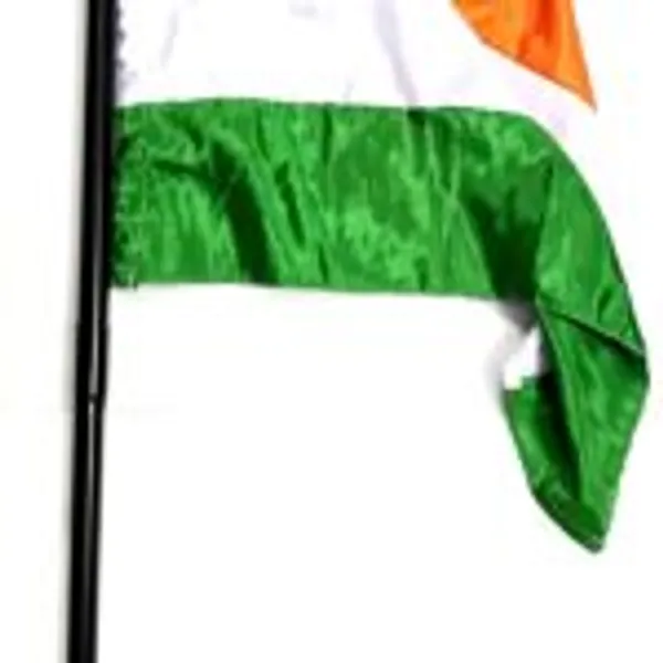 STICK_TO_FLAG_MAGIC_TRICK_/_FLAG_APPEAR_ON_STICK_MAGIC_TRICK_/_INDEPENDENCE_DAY_FLAG_MAGIC