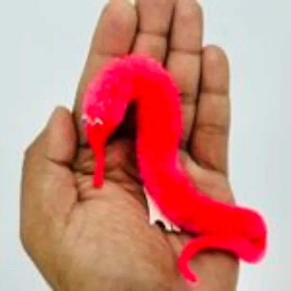 TWISTY_WORM_MAGIC_TRICK
