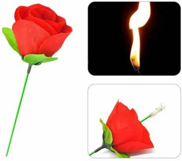 Torch_to_Rose_Magic_Trick_/_Rose_Appear_Magic_/_Valentine_Day_Magical_Propose_Rose