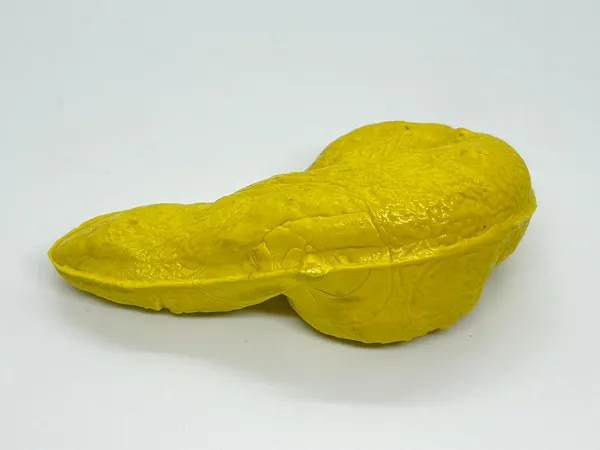 Fake_Poop_Gag_Toy_–_Realistic_Yellow_Plastic_Turd_Prank_for_Kids_and_Teens,_Funny_Desk_Showpiece_&_Paperweight