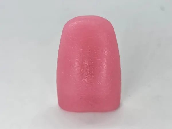 Fake_Tongue_Magic_(Non-Toxic_Elastic_Realistic_Scary_Tongue)