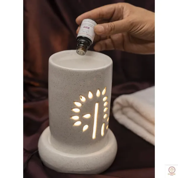Electric_Aroma_Burner_With_Oil