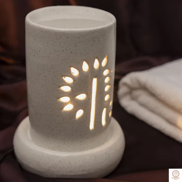 Electric_Aroma_Burner_With_Oil
