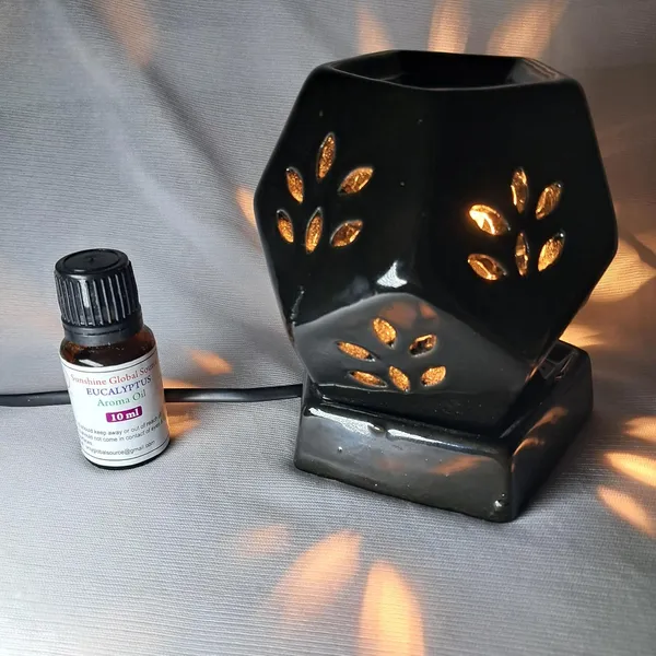 Electric_Aroma_Diffuser_With_Essential_Oil