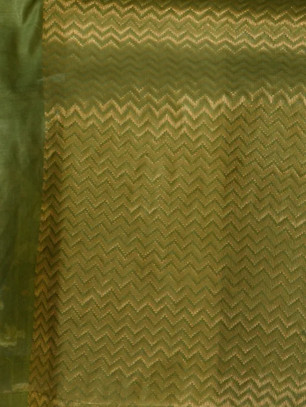 Authentic_Avocado_Green_Women's_Linen_Tissue_Silk_Bhagalpuri_Designer_Handloom_Weaving_Saree