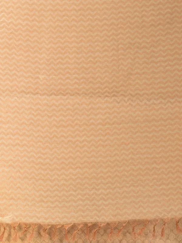 Authentic_Ecru_Beige_Linen_Tissue_Silk_Geometric_Pattern_Designer_Saree