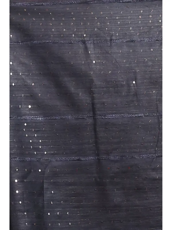 Authentic_Women's_Handloom_Cotton_Silk_Striped_Sequin_Pallu_Bhagalpuri_Saree_(Black)
