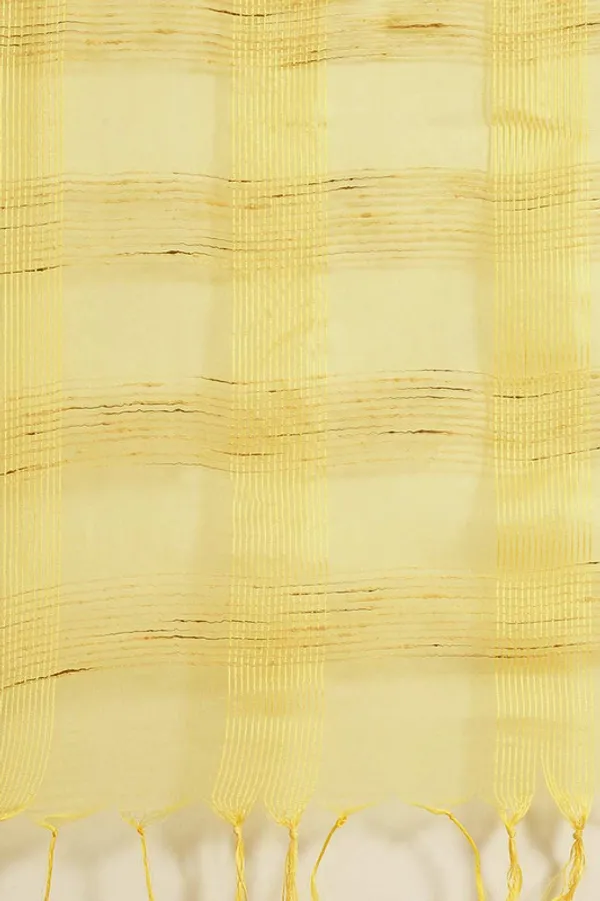 Authentic_Canary_Yellow_Mulberry_Ghicha_Silk_Handloom_Bhagalpuri_Net_Saree